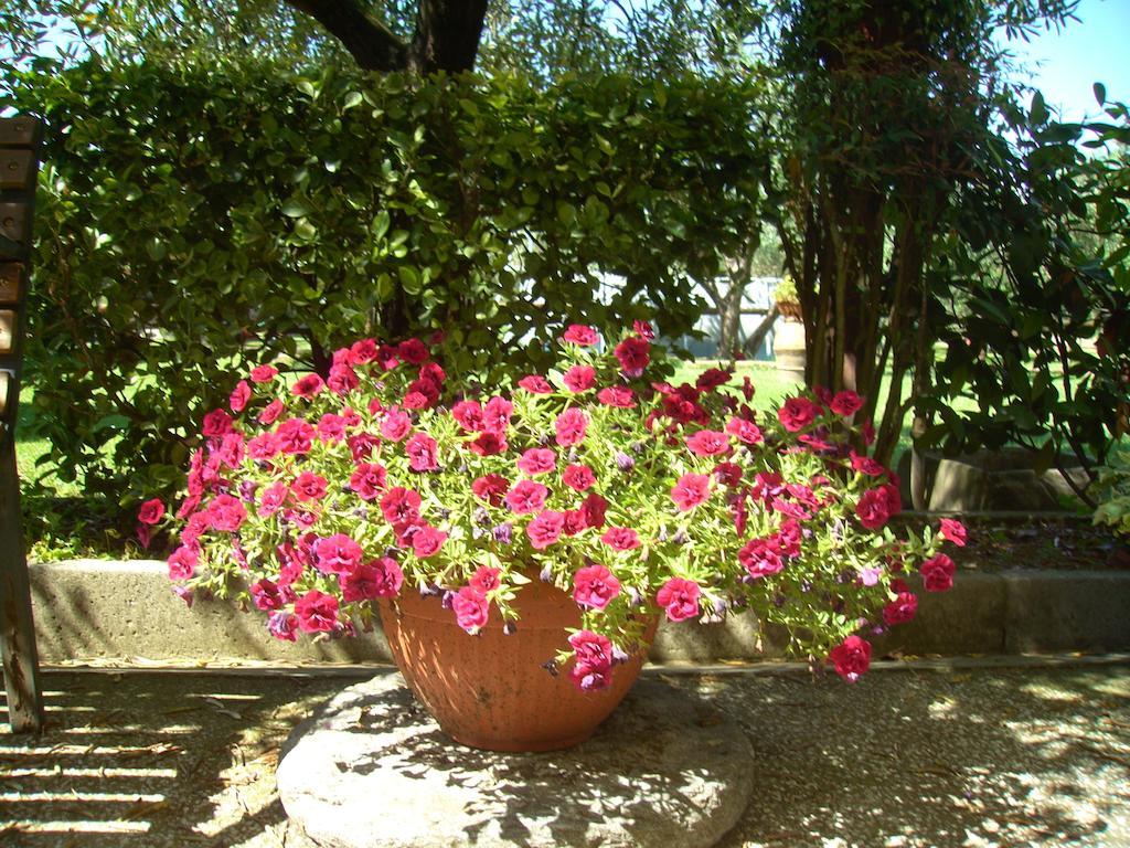 Tenuta Fagnani Lucca Room photo